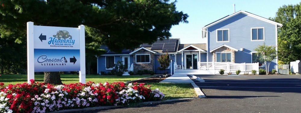 Coastal Veterinary