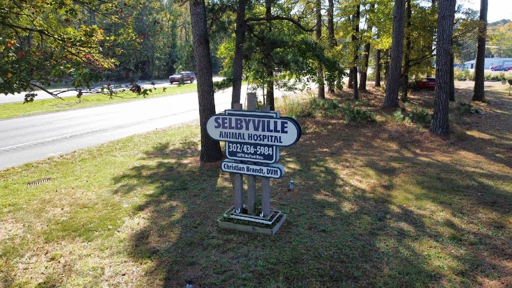 Crossroads Veterinary Clinic/Selbyville Animal Hospital