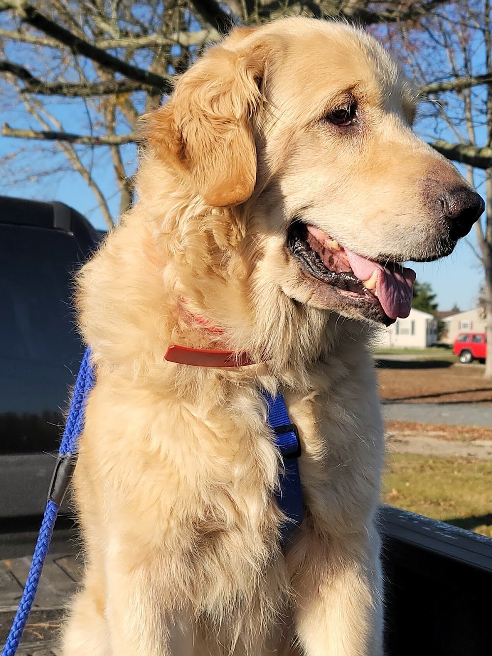 Georgetown Animal Hospital