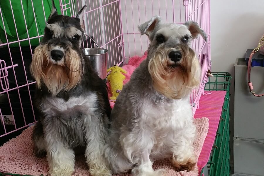 Millsboro Animal Hospital