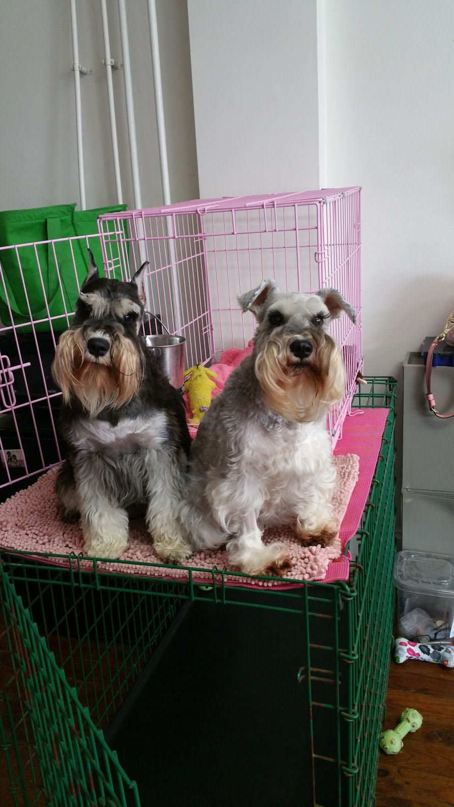 Millsboro Animal Hospital